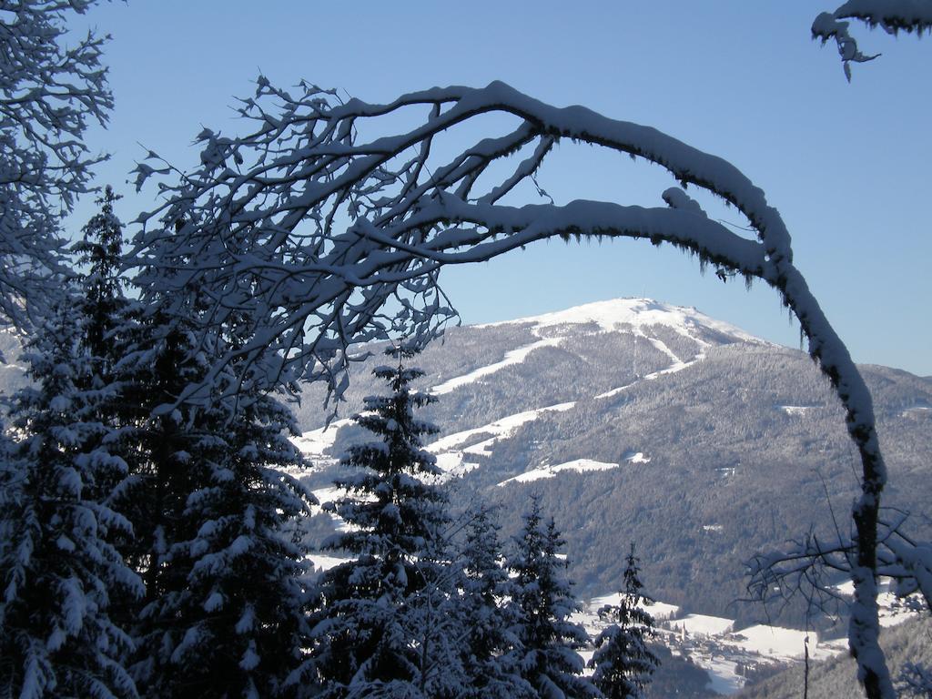 Oberlechnerhof Bed & Breakfast Rasun di Sopra Exterior foto
